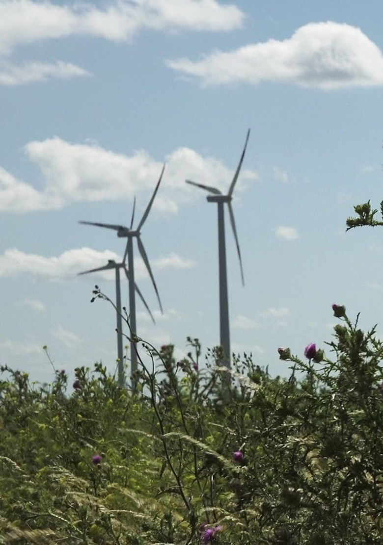 Imatge de Windpark: Ein Lichtspiel bei Nacht