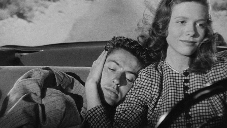 Imatge de Els amants de la nit