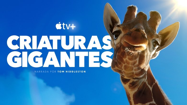 Gallery image from d9DsQBO6YMi8hSbQyhjXyM03Giz.jpg