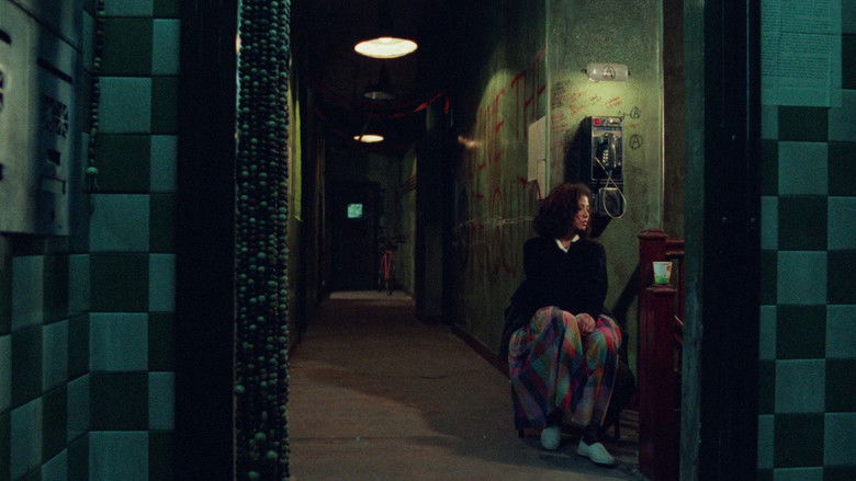 D9mvsazhogbyd7pp98aomf8faxg