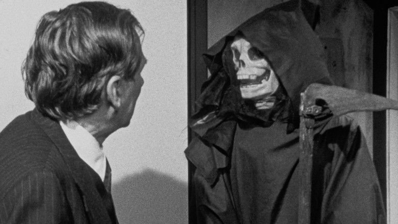 Gallery image from d9RC0mcBgS7SnUNg4r9zOhegTir.jpg