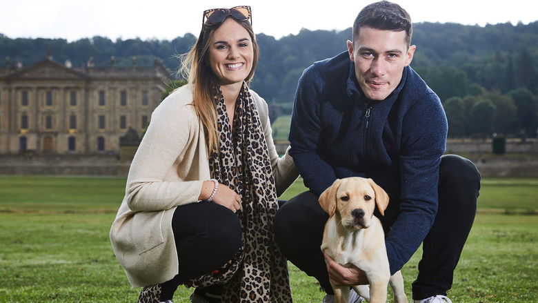 Still image for Puppy School season 1 episode 1: Episode 1