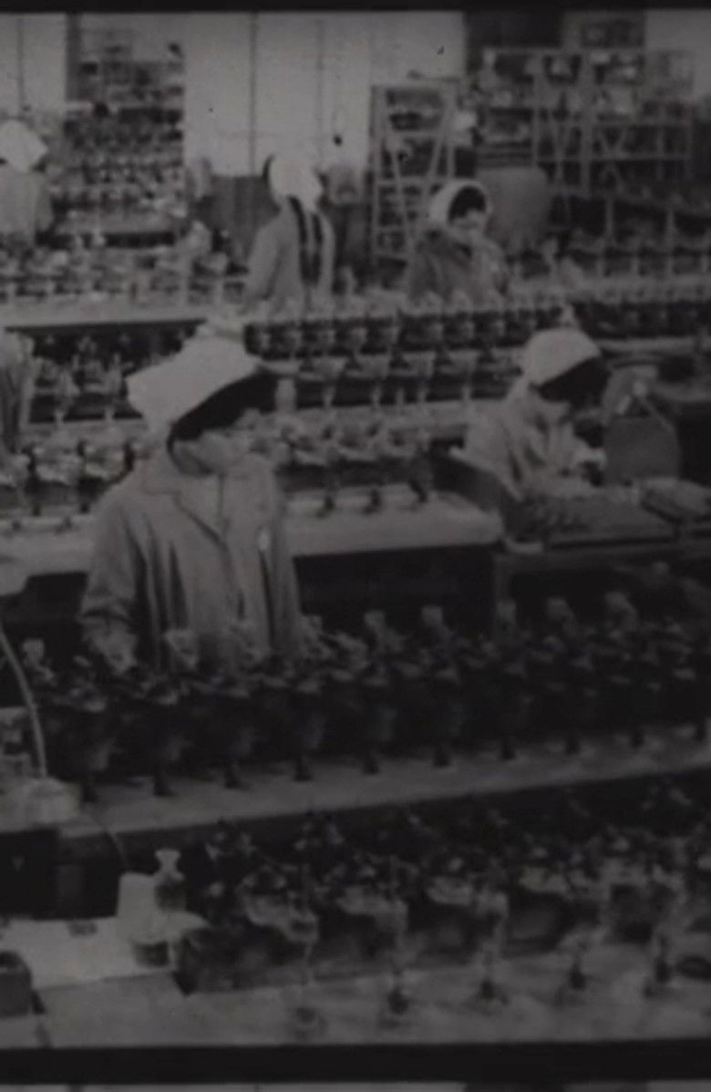 Imatge de A Short History