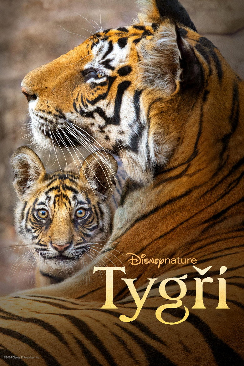 Plakát k filmu Tygři
