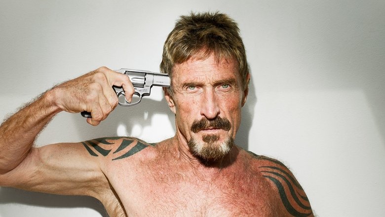 Gringo: The Dangerous Life of John McAfee (2016)
