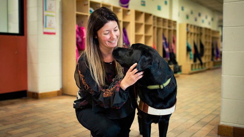 Still image for Les diplômés Mira season 1 episode 4: Episode 4 Still image for Les diplômés Mira season 1 episode 4: Episode 4