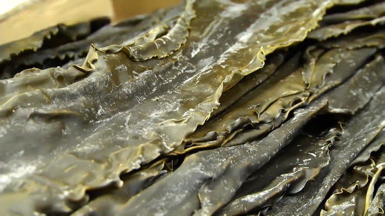 Still image for Trails to Tsukiji season 1 episode 7: Kombu Still image for Trails to Tsukiji season 1 episode 7: Kombu