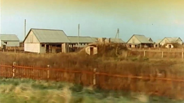 Gallery image from dAjwvgOF5ViYax1FCVR8ZDqyWiG.jpg