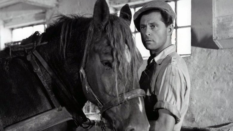 Gallery image from dBrf6Xe8MiWDpPg9jNVmeqZj0gY.jpg