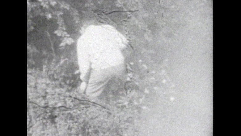 Still image for The Forbidden Files season 1 episode 9: Episode 9 Still image for The Forbidden Files season 1 episode 9: Episode 9