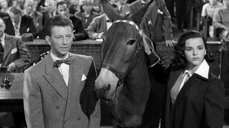 Francis Covers the Big Town (1953)