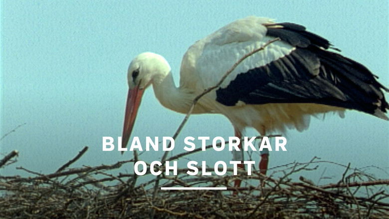 Bland storkar och slott