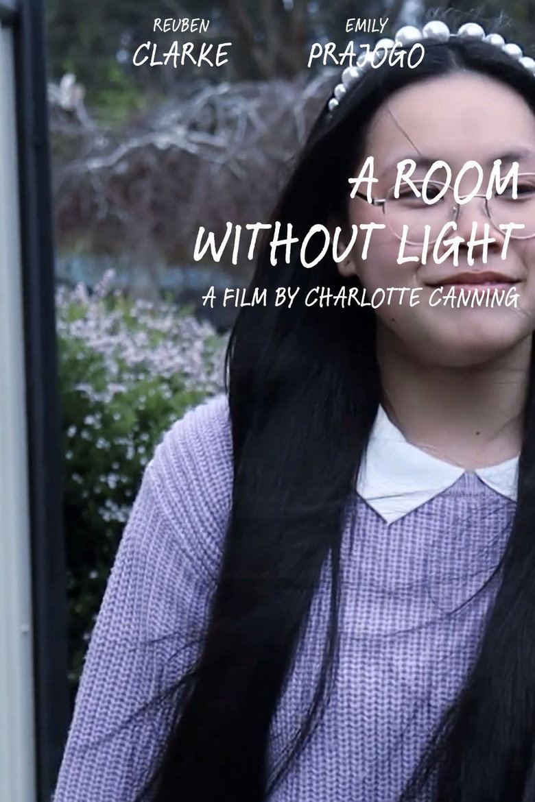 Imatge de A Room Without Light