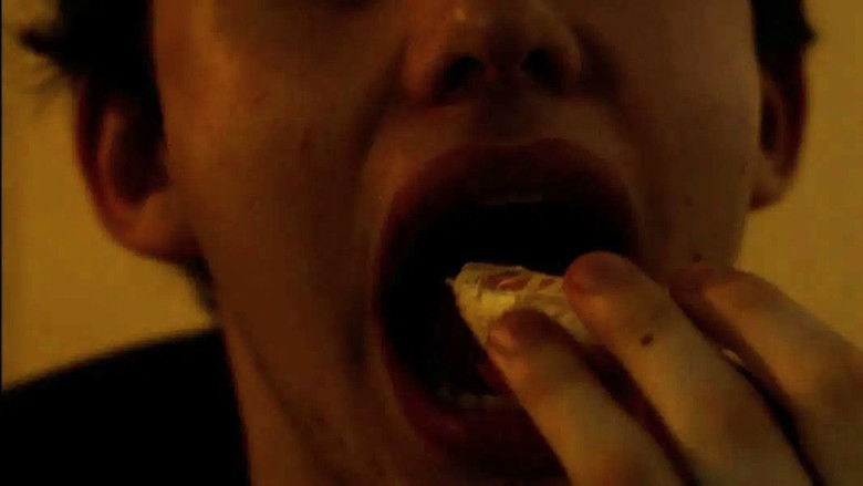 Gallery image from dE4mZpayXNzqGCNO5pDt3wZL12N.jpg