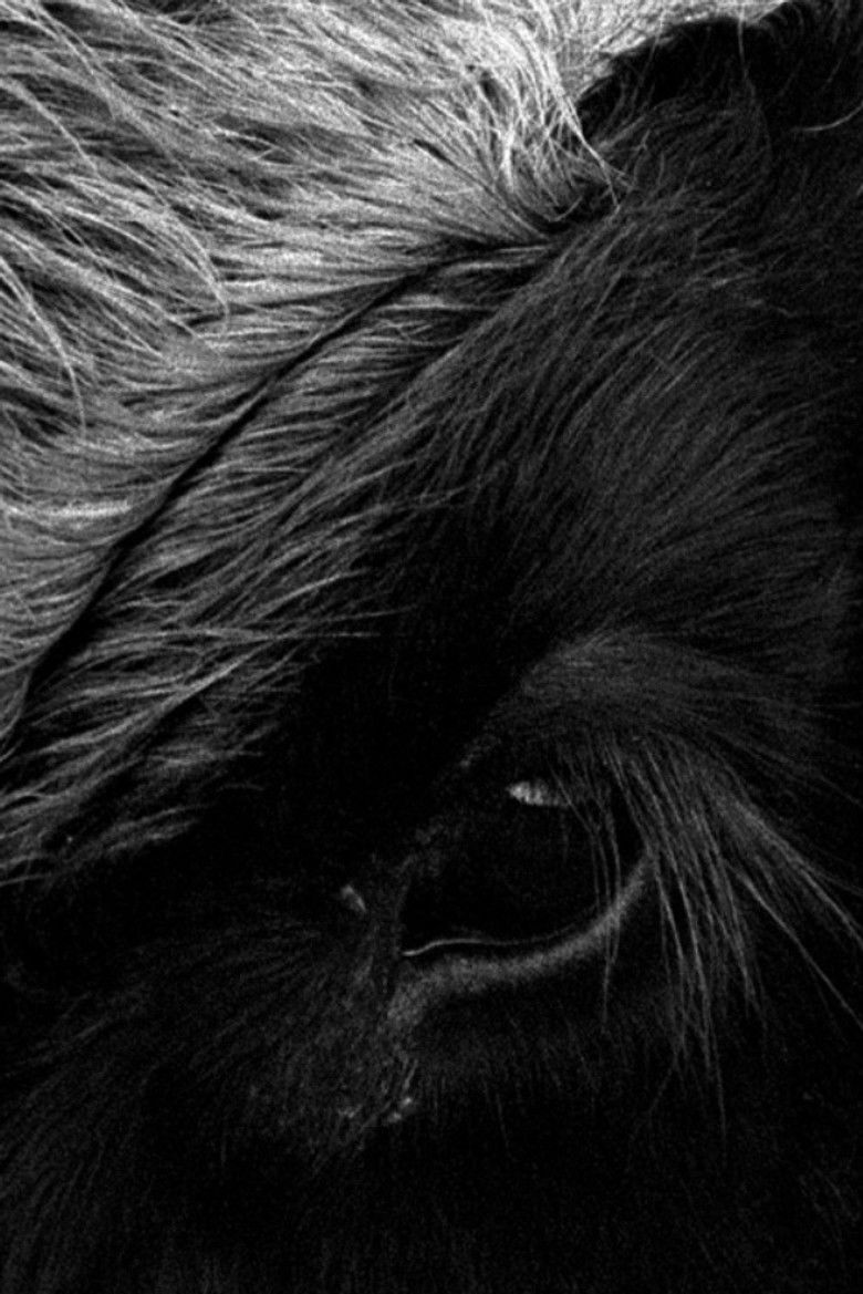 Imatge de Her Name Was Europa