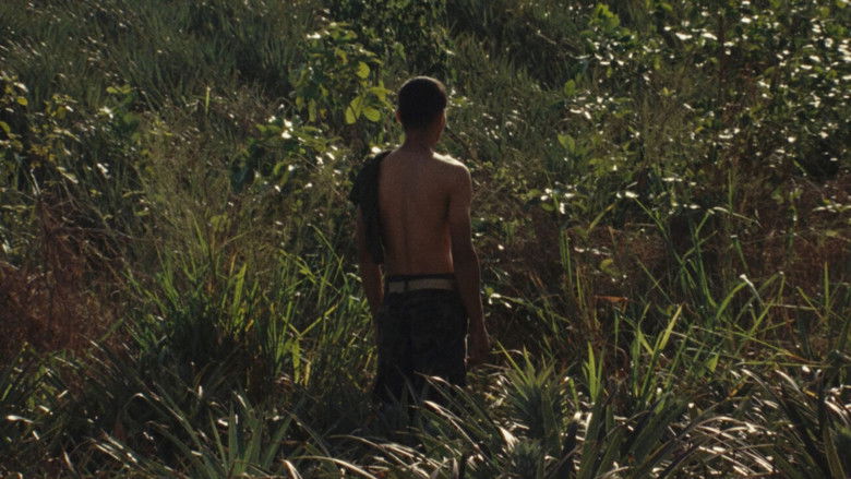 Gallery image from dEHYkbpFBbgQOkZrxho7jV6XqKs.jpg