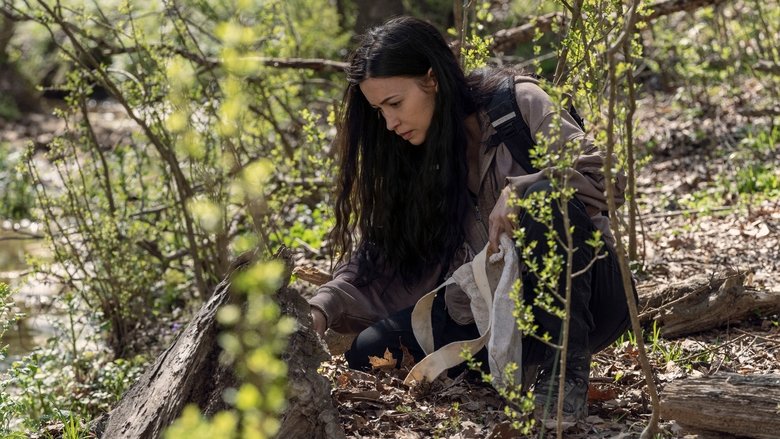 Walking Dead Saison 11 Episode 3 Streaming The Walking Dead Saison 11 episode 3 en streaming VF - Seriepourvous