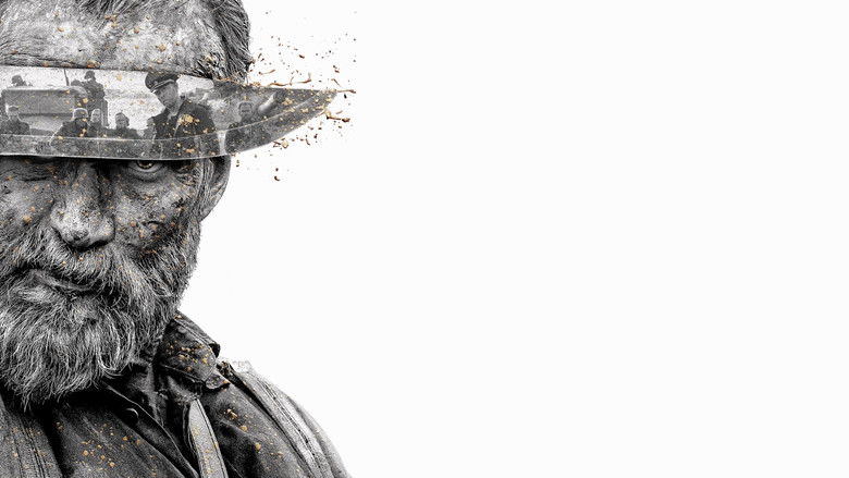 Backdrop de Sisu Collection