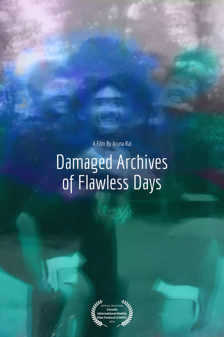 Imatge de Damaged Archives of Flawless Days