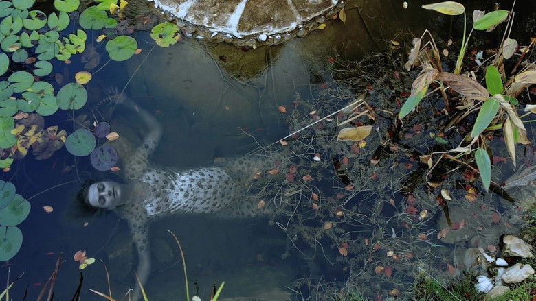 Gallery image from dF5ewnmdET5AyPuK8w02s85rKx6.jpg