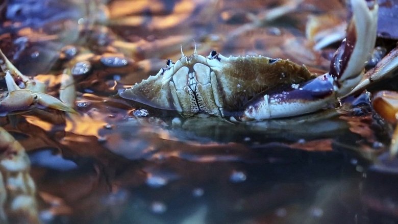 Still image for Deadliest Catch: Dungeon Cove season 1 episode 6: Final Crossing