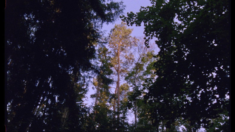 scenes 3