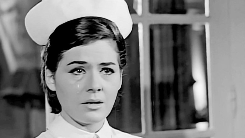 Gallery image from dFjkfX25J6kDwQN4DRJQhrmQOUw.jpg