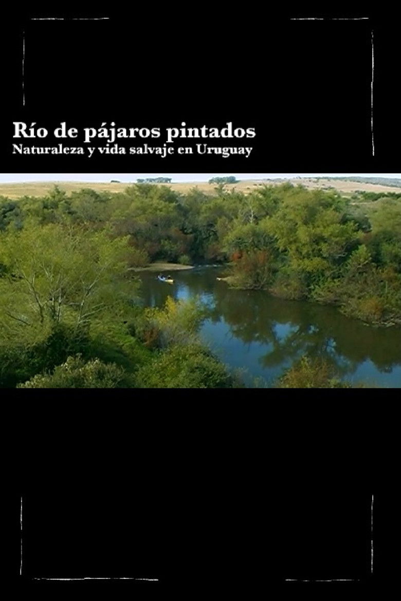 Imatge de Río de Pájaros Pintados