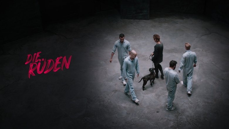 Gallery image from dFo9AQCLgLWUsWOeCU0xcckpIB0.jpg