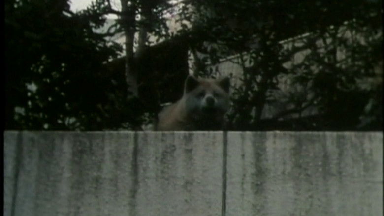 Gallery image from dFvp1i6Lua8rgKDP5jROHxbCbLP.jpg