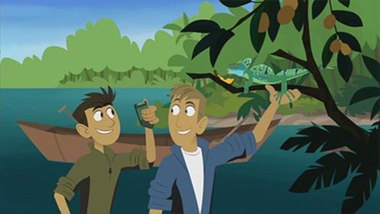 Watch Wild Kratts: Season 1 Episode 16 free without signup. 