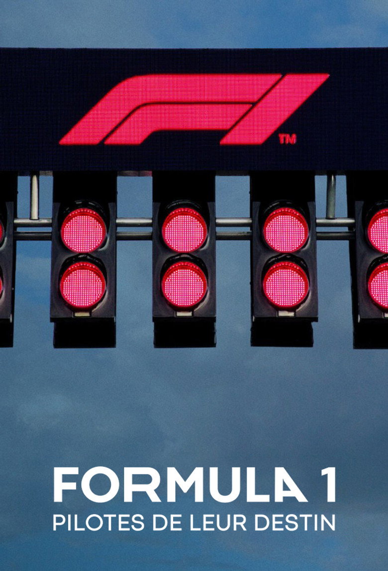 Póster la Serie