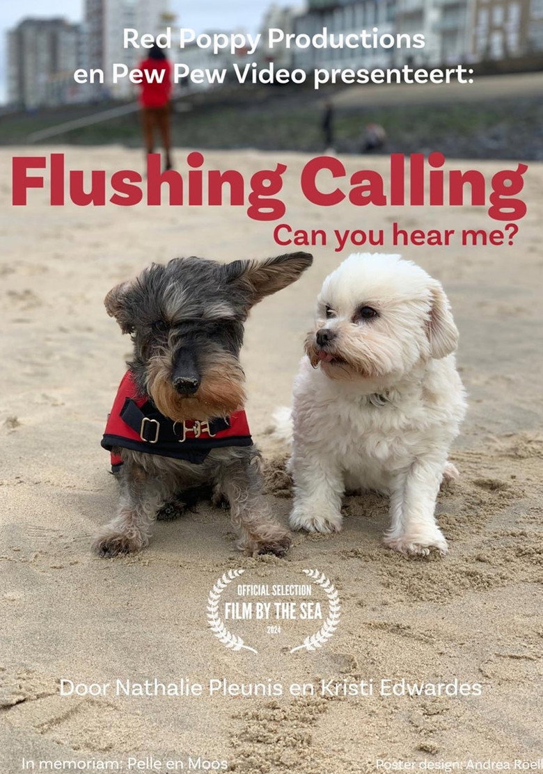 Flushing Calling, Can you hear me? background