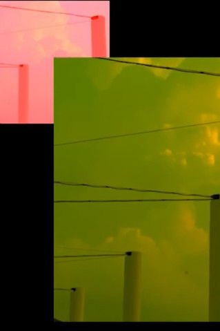 il linguaggio (appena nato) è già morto (2019)