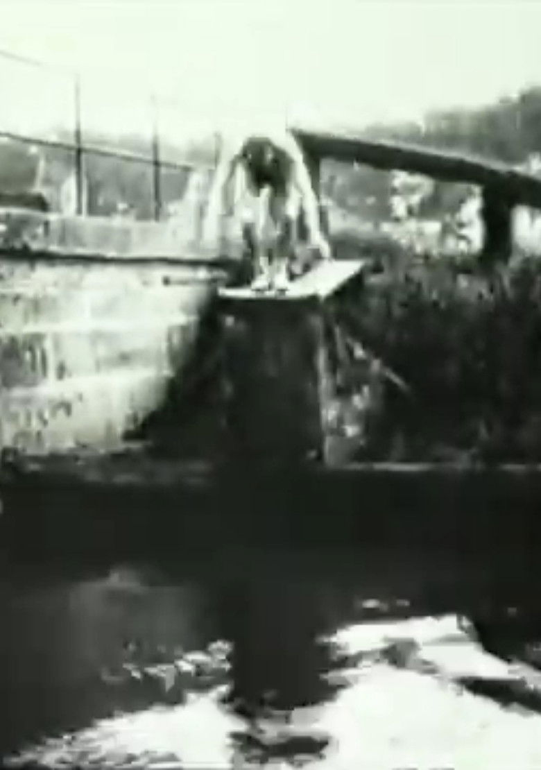 Imatge de Plongeur fantastique