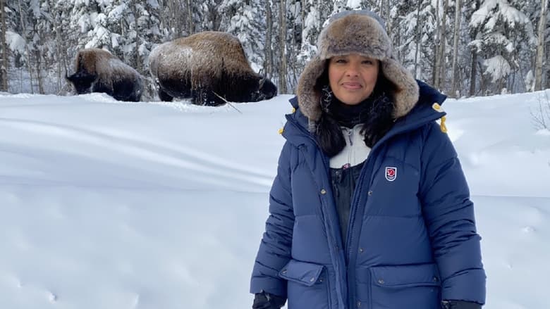 Arctic From Above with Liz Bonnin