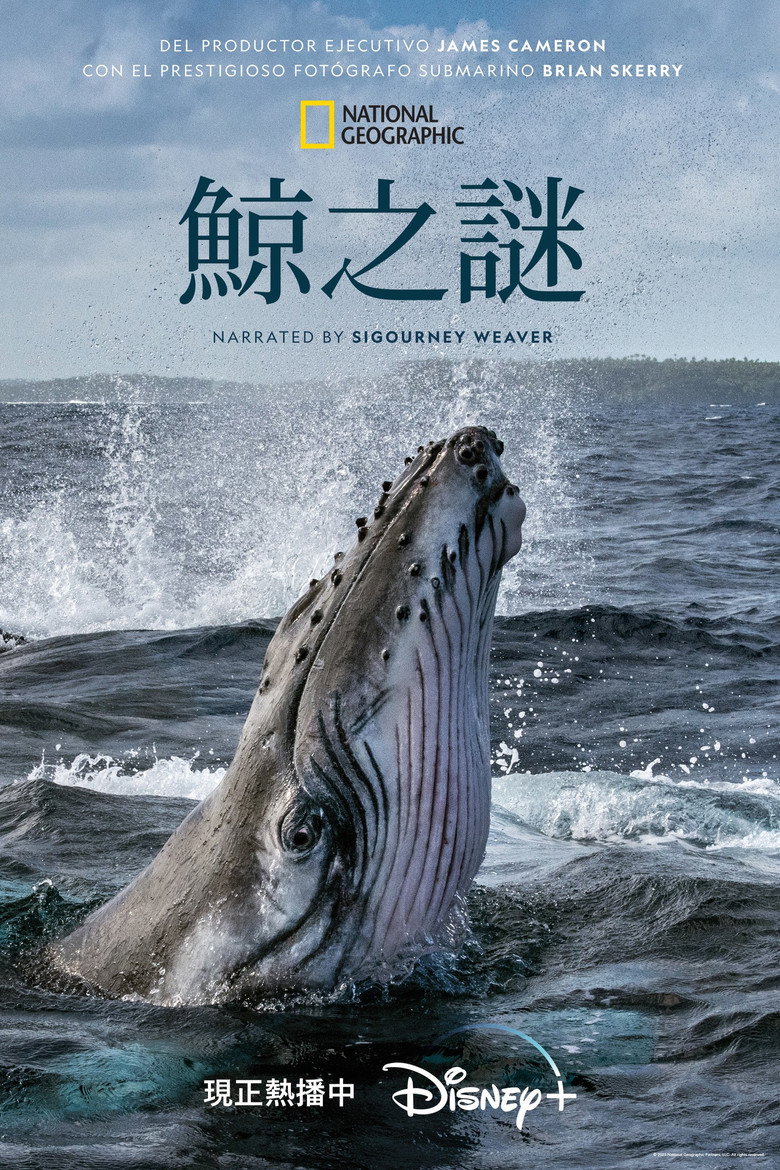 鲸的秘密 (2021)-光鸭·臻影社