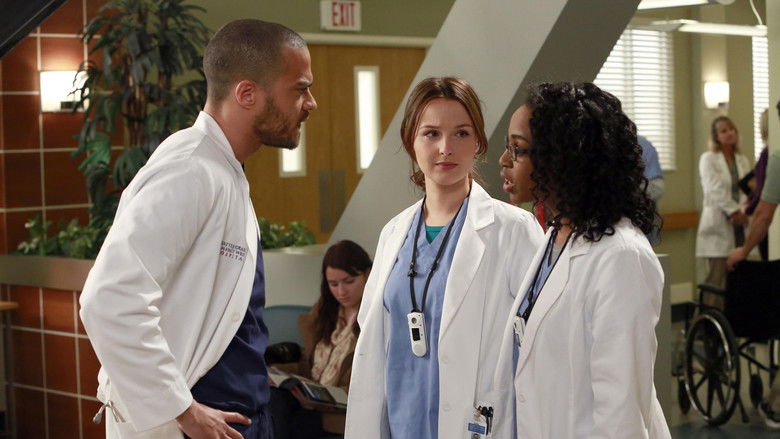 Grey’s Anatomy Sezonul 9 Episodul 14 Online Subtitrat In Romana