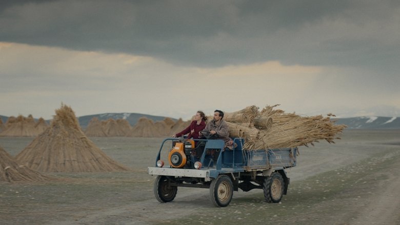 The Reeds (2025)