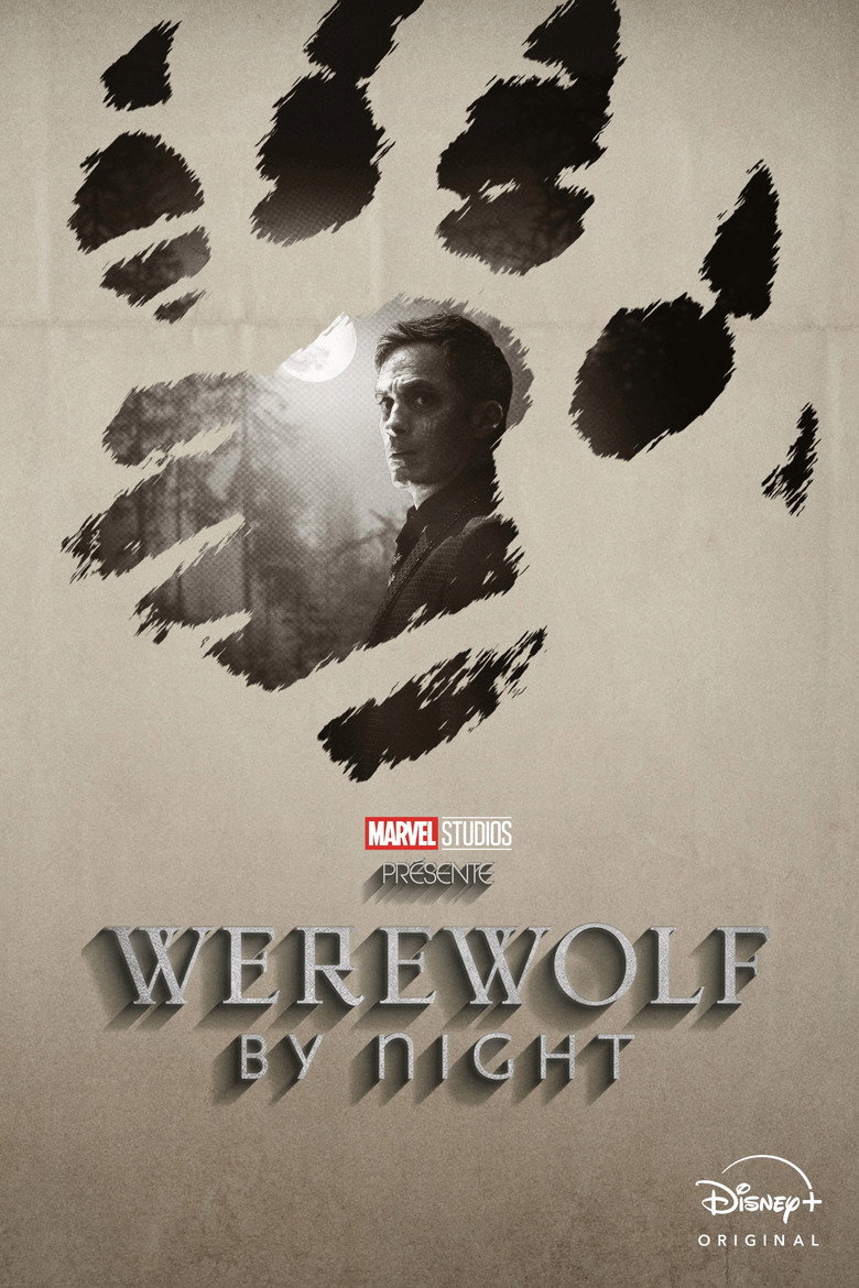 Póster la Película
