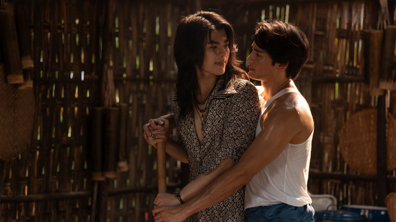 Still image for Shine season 1 episode 5: Episode 5