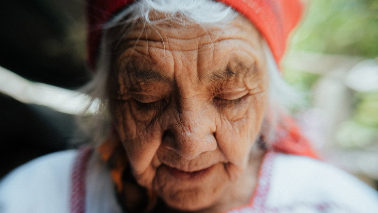 Raíces
