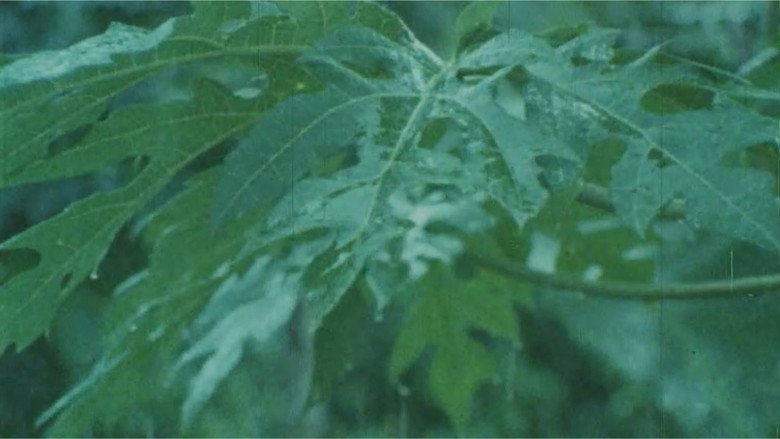 El sueño verde