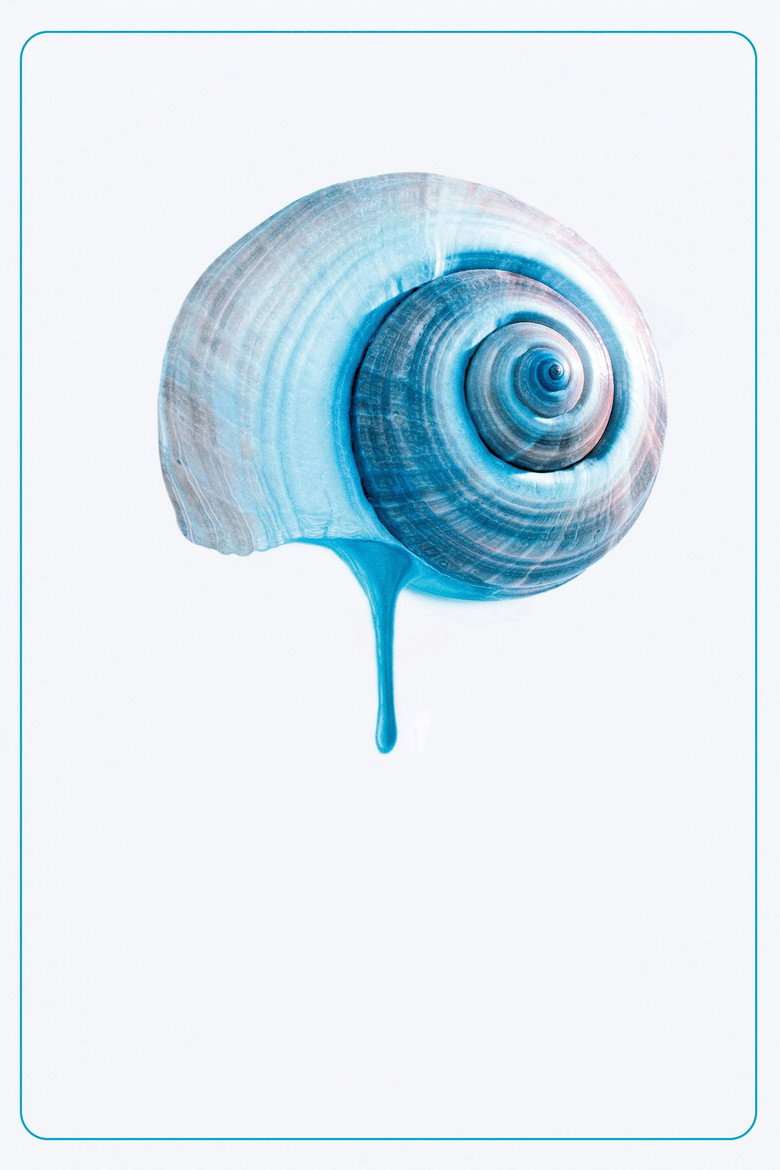 Imatge de O Último Azul