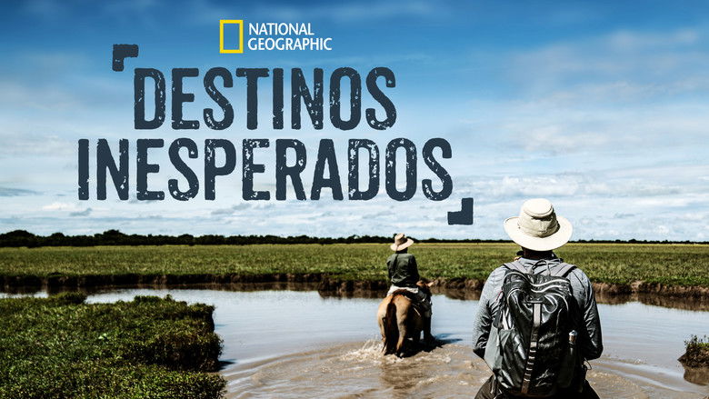 Gallery image from dJOupxec3N5oOX3qj2ttimE3Jlq.jpg