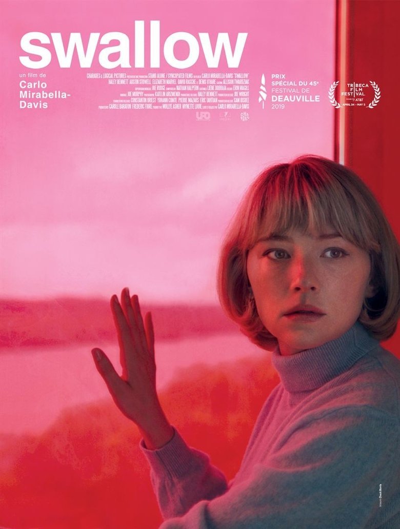 Poster du film Swallow