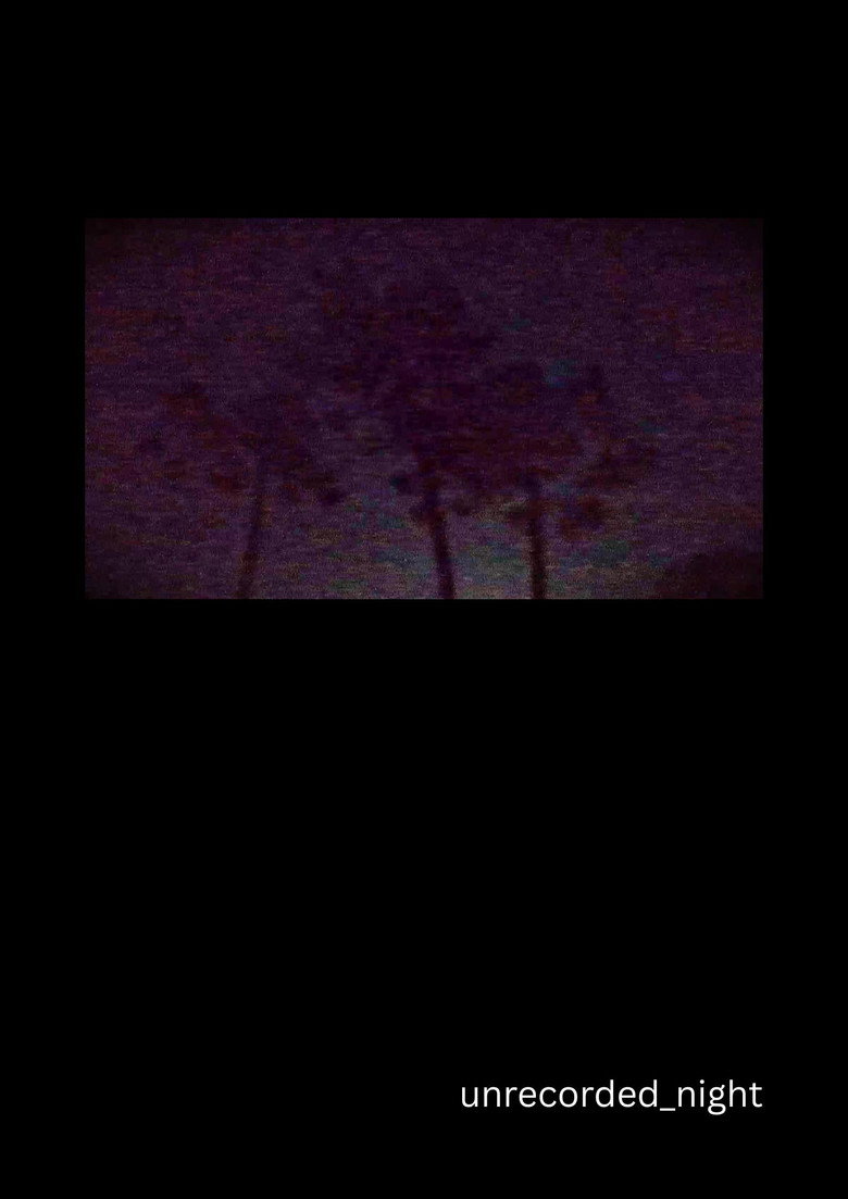 unrecorded_night