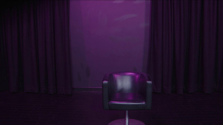 Image d'arrière-plan 9 du film SUFFICIENT SIDE EFFECTS The Making Of Magenta House