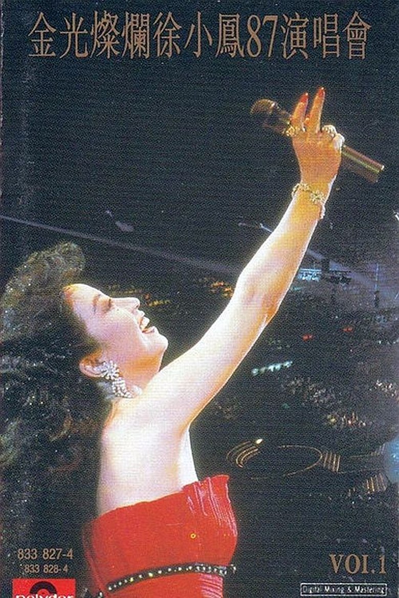 金光燦爛徐小鳳87演唱會 poster