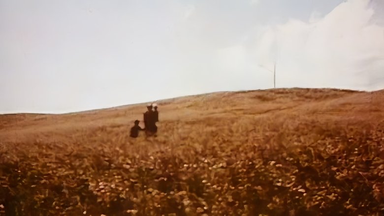 Medea (1989)
